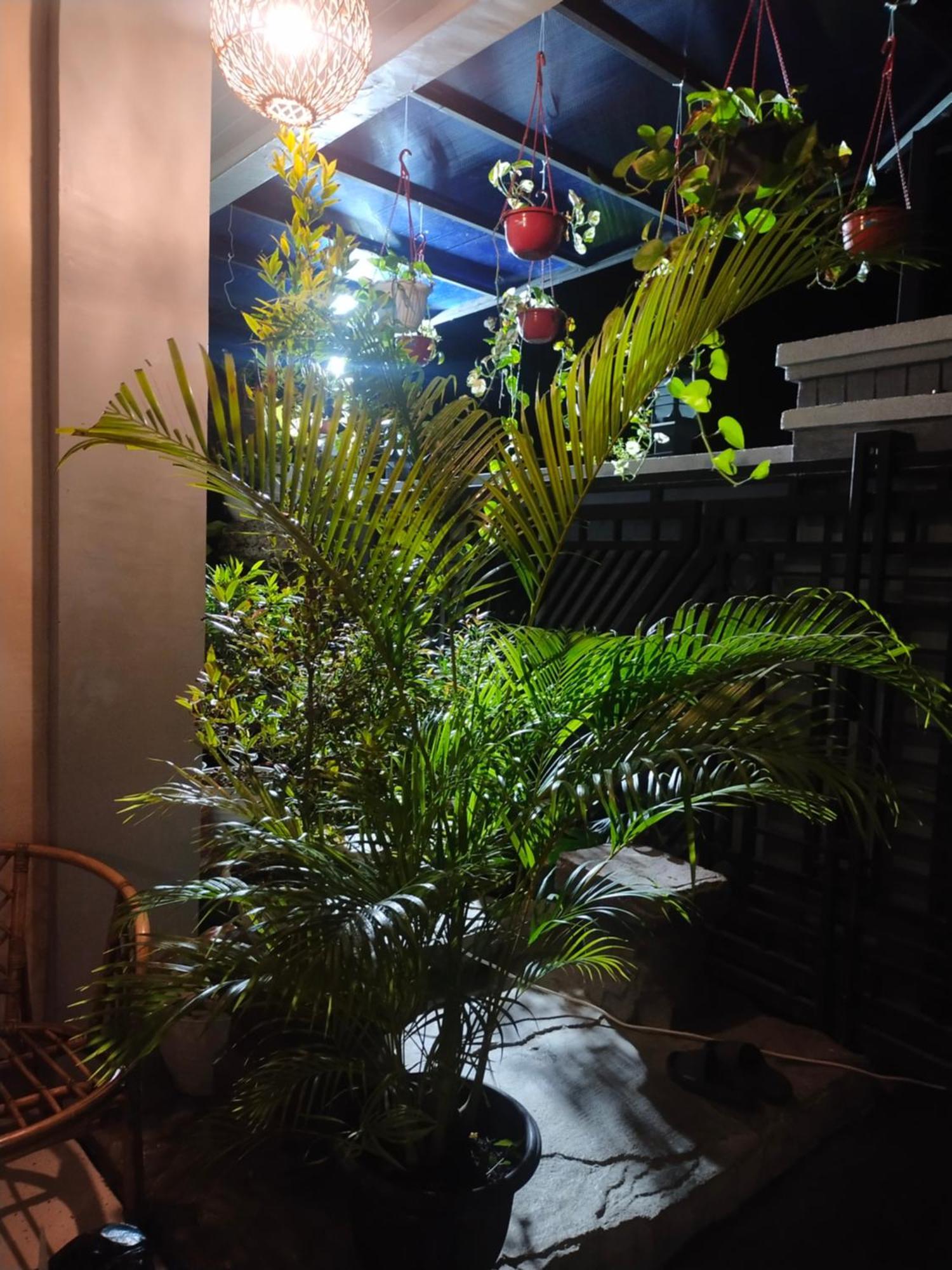 La Geiro Villa 纳闽巴霍 外观 照片
